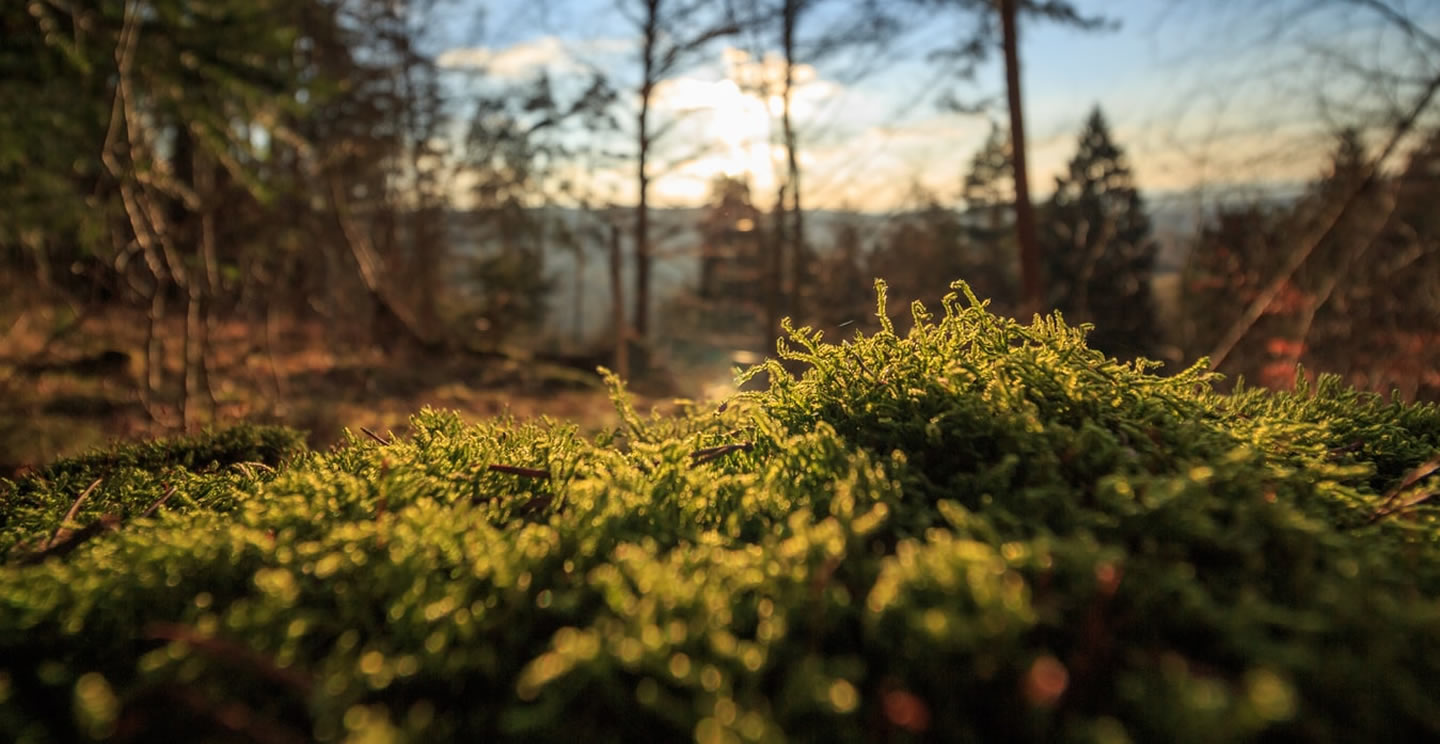 repair your appliances